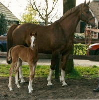 Irene met Norene